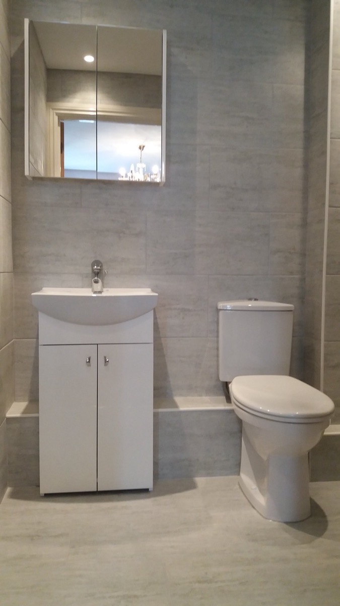 Bathroom vanity unit and WC
